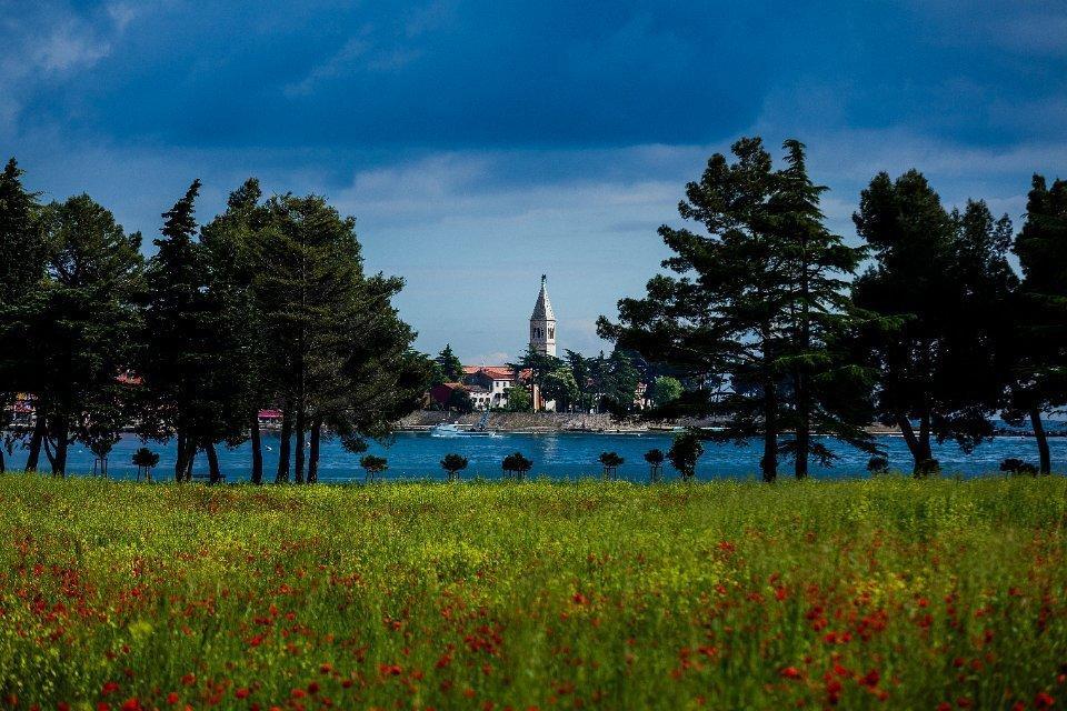 Apartments Jadranka Sain Novigrad Istria Chambre photo
